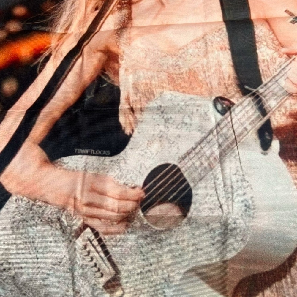 Taylor Swift Fearless Tapestry 35.5"x47" Country Music Decor - Picture 7 of 9